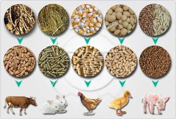 Feed protein analysis 1