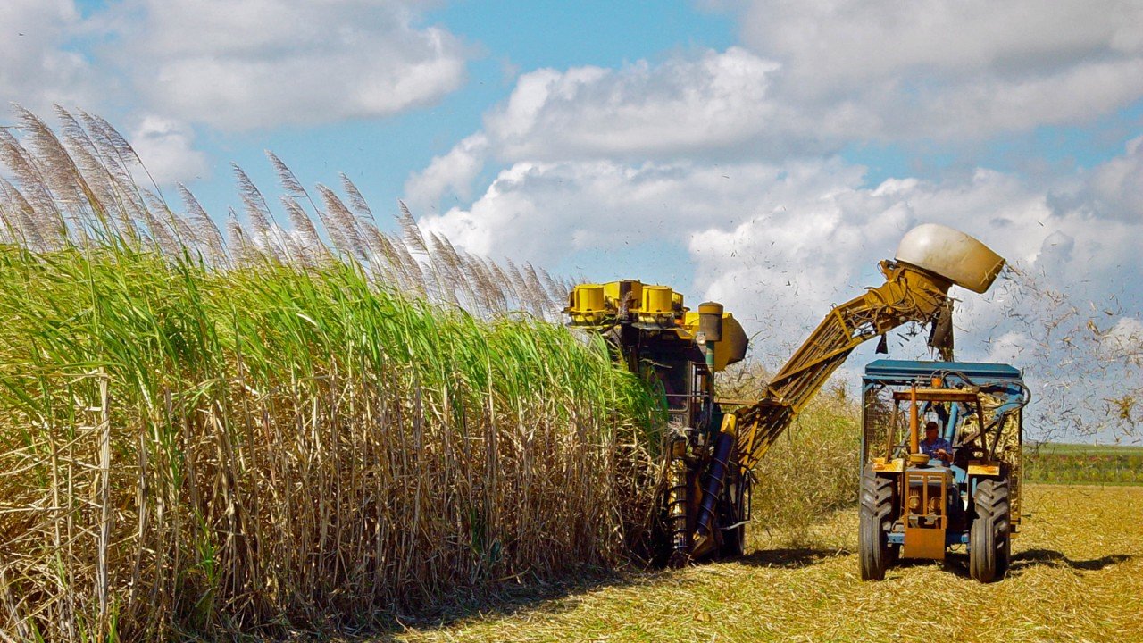 Agriculture Incoming Raw Material Inspection