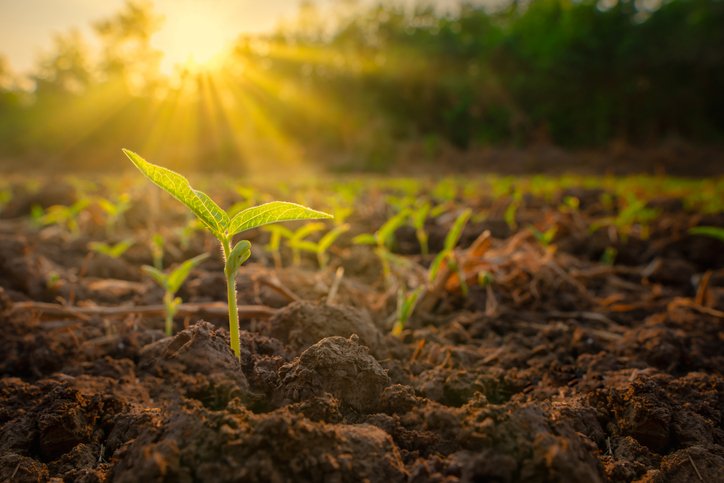 Agriculture Moisture Analysis