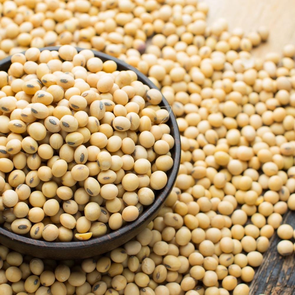 Soybeans High Quality Non GMO Yellow Dry Soybean Seed NON GMO Soya Beans