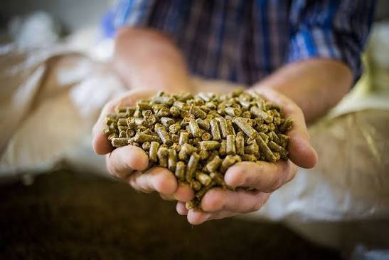 Feed Quality Assurance