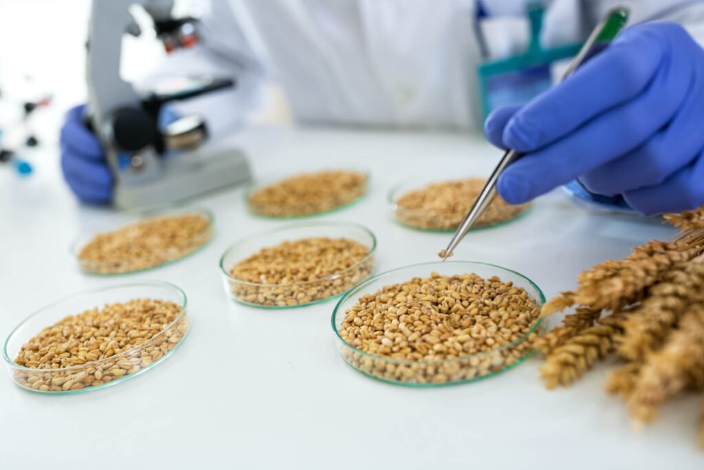 Grain Analysis 1 shutterstock 797672401